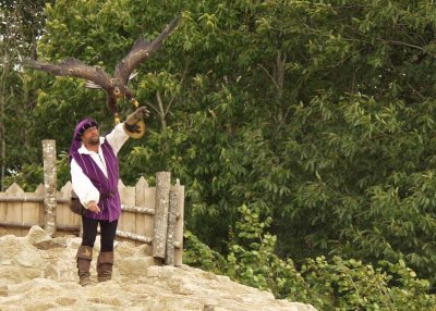 Falconer launches eagle