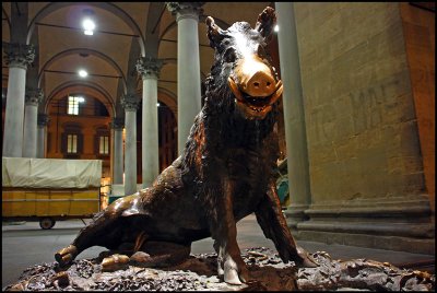 Wild Boar