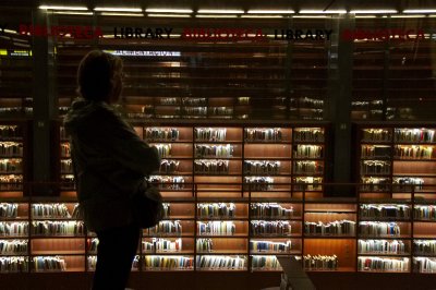 Reina Sofia library