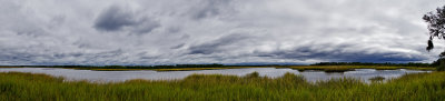 Timucuan Pano