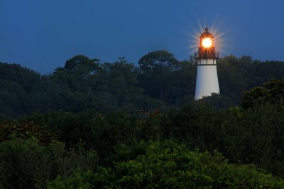 Lighthouse and Trees