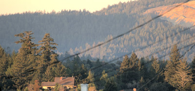 Across Scotts Valley