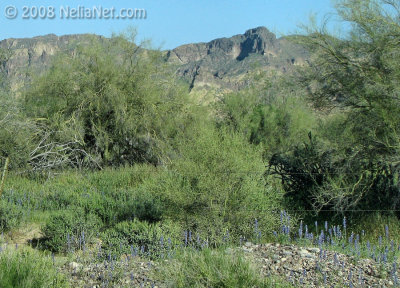 IMG_1577.jpg