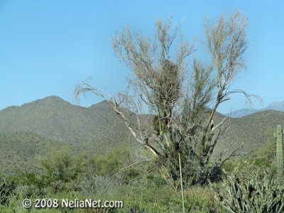 IMG_1580.jpg