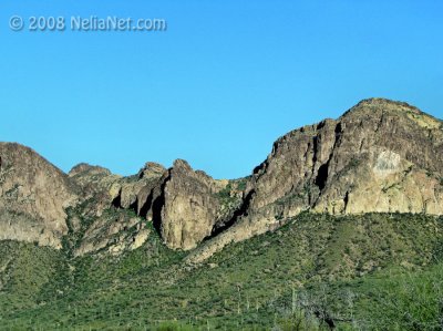 IMG_1589.jpg