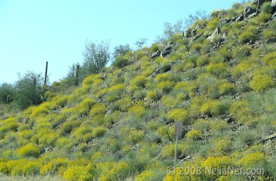 IMG_1599.jpg