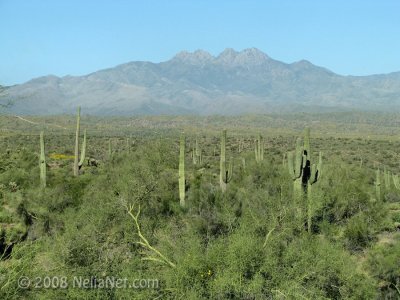 IMG_1605.jpg