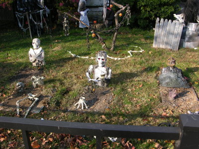 DSCN4055.JPG