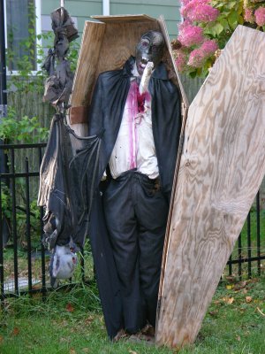 DSCN4060.JPG