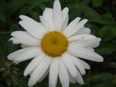 6-29