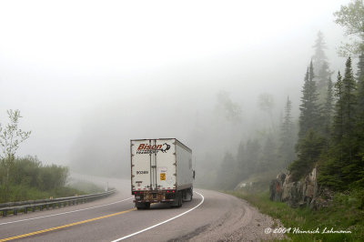 K208598-Bison Transport.jpg