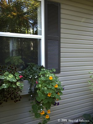 P2460-web.jpg