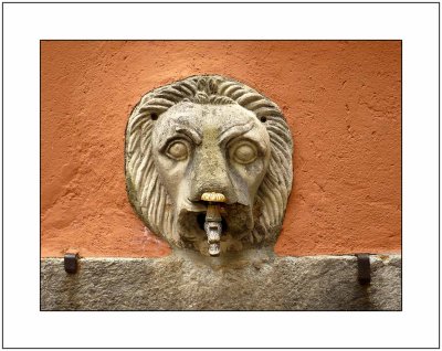 Lion on the Wall