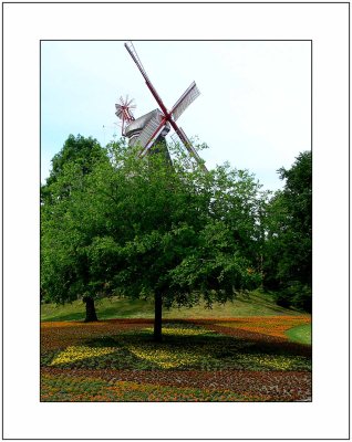Windmill at the Herdentor