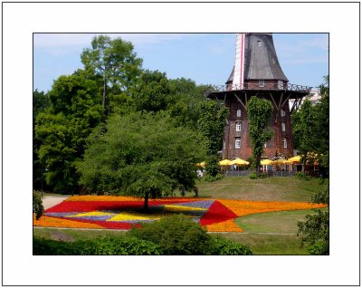 Flowers at the Windmill