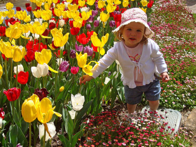 Amelia Among the Tulips*Credit*