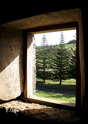 The Window