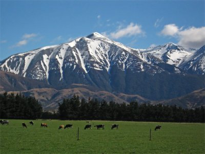 NZ scenic