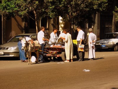 Donkey selling fruits in the streets of Cairo