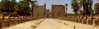 Luxor Temple, and the Avenue of the Sphinxes