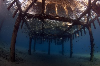 Under the bridge