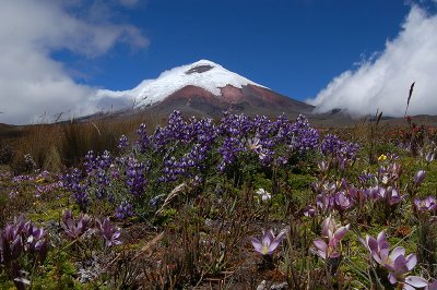 Cotopaxi