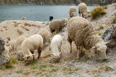 Lagoona Quilotoa