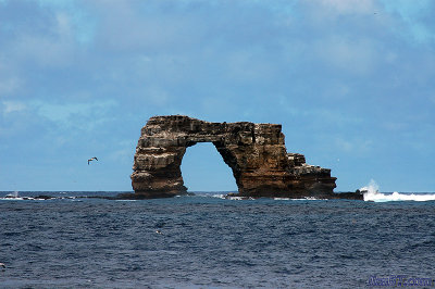 The Arch of Darwin Island