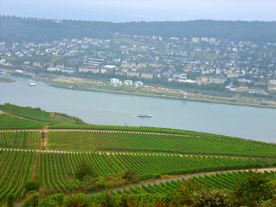 Bingen at opposite of Rhine river