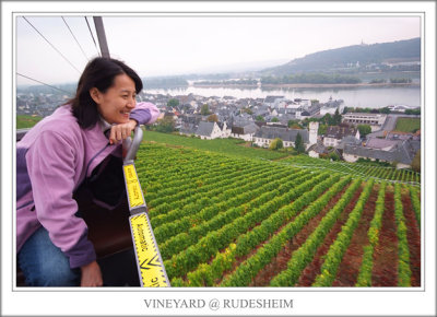 Taking cable car across the vineyard