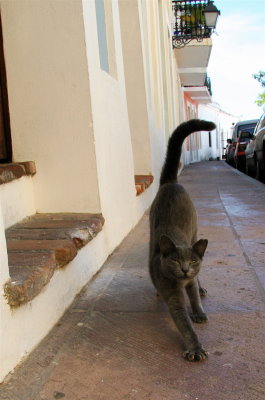 Old San Juan