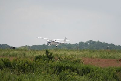 IMG_2055.jpg
