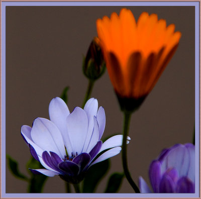 g5/05/743005/3/98542634.l1xNX9RU.jpg