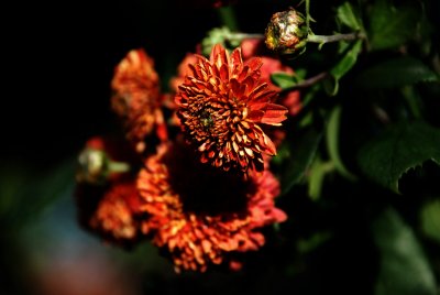 g5/05/892505/3/118904497.flZUt3CC.jpg