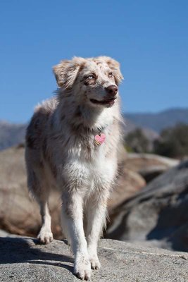 Rita on the rocks