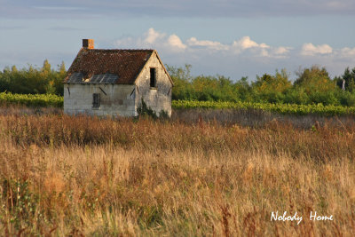 NOBODY HOME