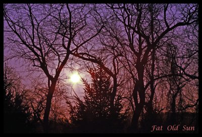 FAT OLD SUN