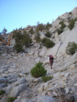 J hiking up the tree