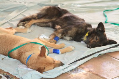 IMG_8703recover.JPG