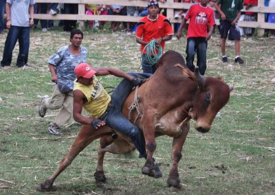 Bull Riding In Nicaragua
