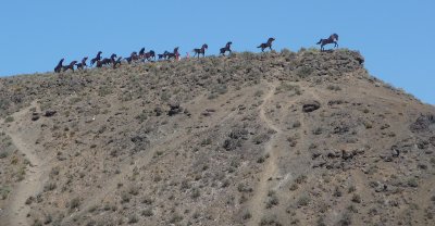 Wild Horse Monument