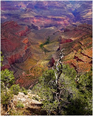 The Southwest Landscape