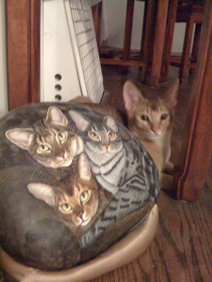 Cats - the next generation