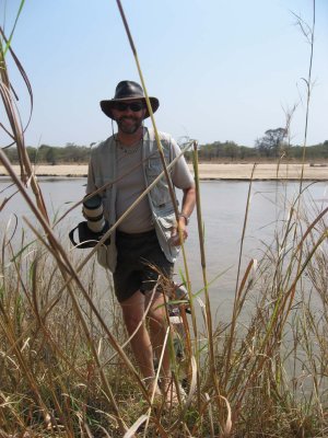 Wonderful tall grasses by the Luangwa River