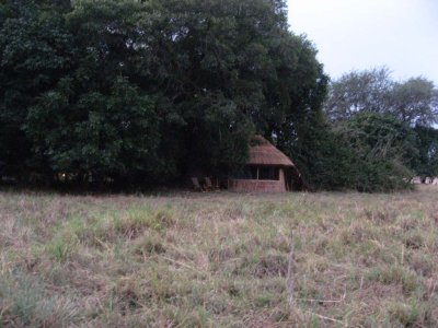 Our chalet is nestled in the trees