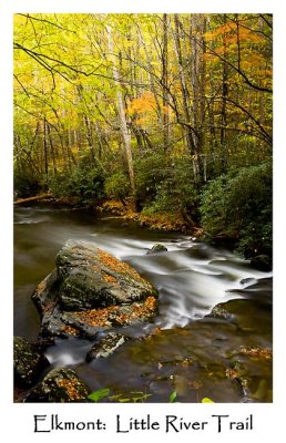 _MG_5384 sized.jpg