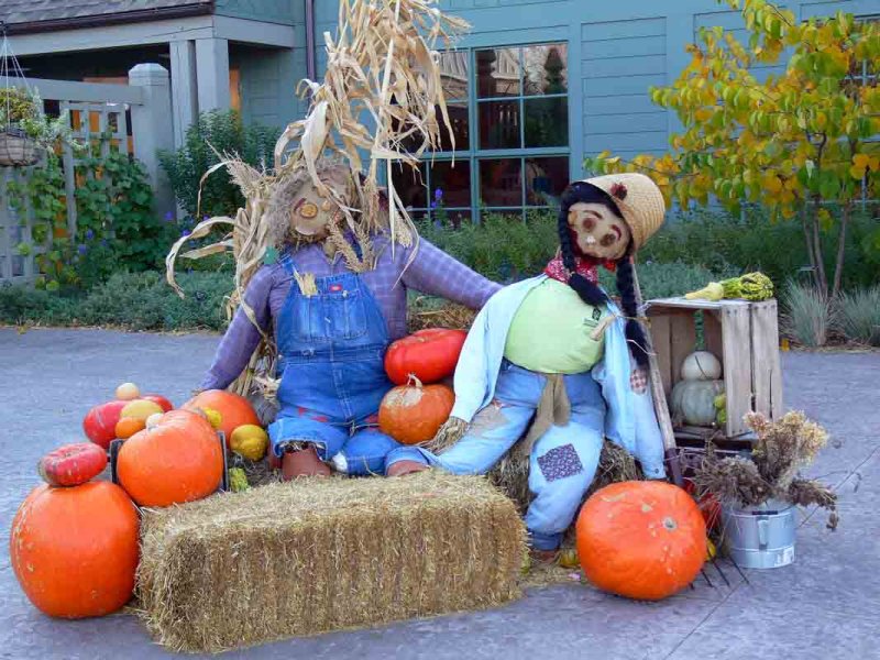 A Day in the Life of Scarecrows