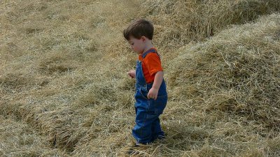A day in the life of a farm kid