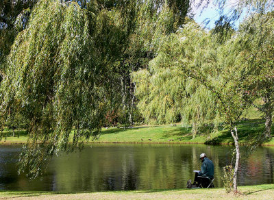 Artist Sketching in Brookline MA USA