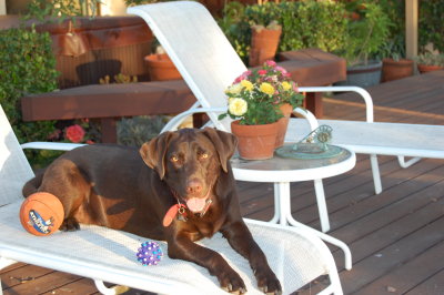 Luke lounging